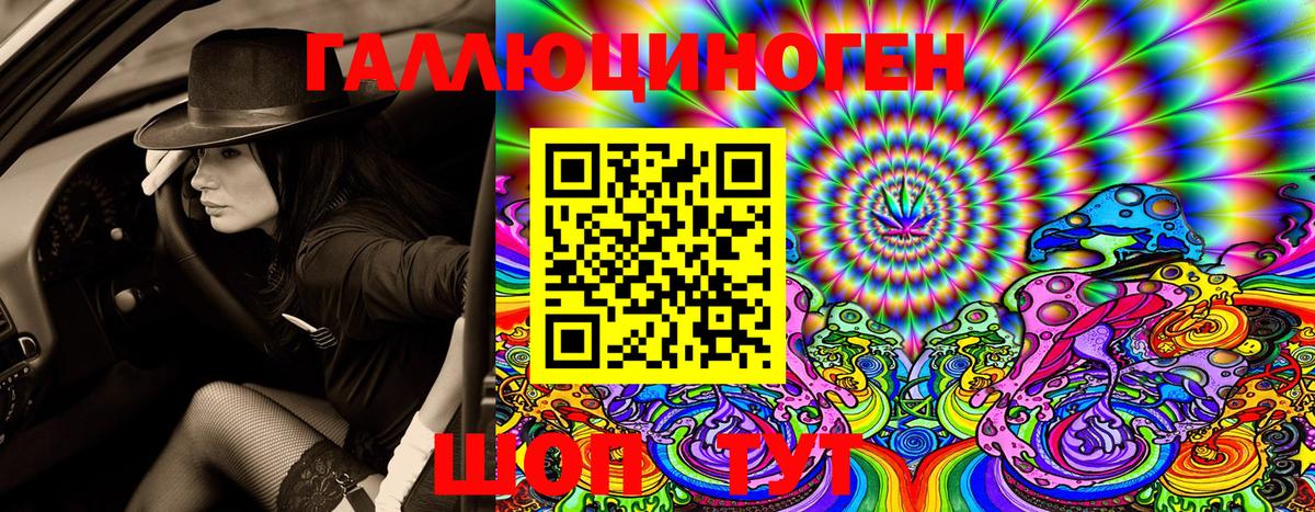 Вязьма  Псилоцибиновые грибы Cubensis  Вход с VPN 